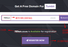 【co.vu】老牌免费二级域名注册解析使用教程-沃园