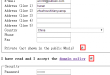 【法国EU.ORG】支持DNS解析的免费二级域名申请使用教程-沃园