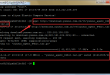 【云锁服务器安全软件】安装云锁为自己的服务器网站添加安全防护-沃园