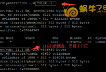 如何为Linux系统VPS挂载数据盘到指定目录-沃园