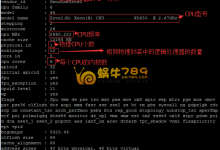 高品质美国CN2凤凰城PHOENIX AZ机房VPS性能评测-沃园