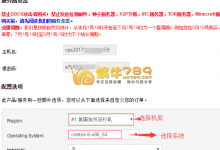 美国IdcBuster 4核4G内存40G硬盘1T流量OpenVZ VPS 49元/月-沃园