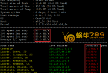 美国IdcBuster OpenVZ VPS、KVM VPS性能测试及对比-沃园
