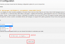 高品质美国CN2洛杉矶中国直连[OpenVZ]120元/年 [KVM]128元/年 [KVM CN2]200元/年-沃园