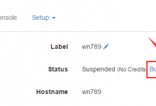 Somagu韩国KT/1核512M/20G/400G/G口/共享IP/3.19美元/月-沃园