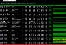DataWagon纽约/2xL5520/96GB/1TB/1Gbps/5IP/54.99刀/月-沃园