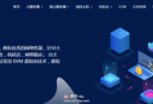 水墨云美国VPS新用户终身七折,单机10G防御,回程CN2优化,50M峰值,1核1G仅19元/月-沃园