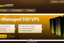 高品质美国CN2cn2 gia补货啦!10Gbps GIA大带宽,2核1G内存$169.99/年-沃园