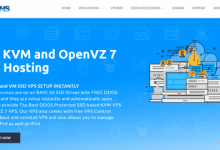 hosteons美国无限流量vps终身五折,20G防御100M无限流量,1核1G$13.5/年!送Blesta/DA/WID授权-沃园