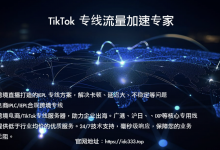 大牛子IEPL 流量转发、沪日电信IPLC/IX专线/广州移动/深圳移动/腾讯云入口等线路-沃园